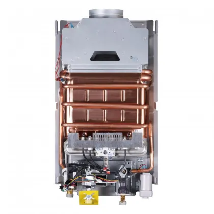 Колонка газова димохідна Thermo Alliance JSD20-10NQB SILVER 10 л EURO+ — Photo 7