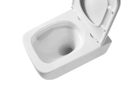 Унітаз підвісний Mixxus Premium Diverse-0101-T1 530x365x373mm, система змиву Tornado 1.0 (MP6477) — Photo 1
