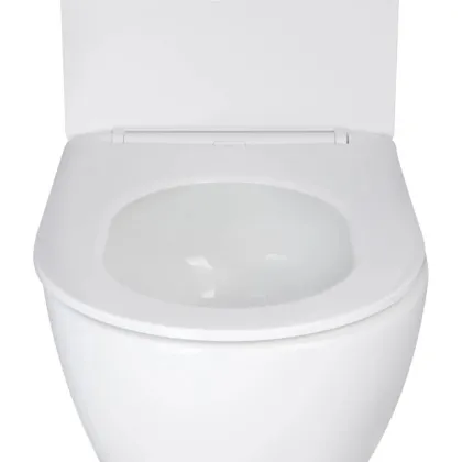 Комплект Grohe Set Унітаз ELLIPSE-0301-T3 + Інсталяція 38536001 + панель 38732000 (38536001ELLIPS0301T3) — Photo 11