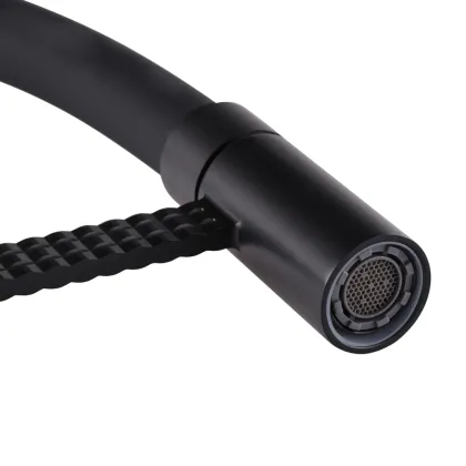 Змішувач для кухні Mixxus Premium Oliwer 017 BLACK REFL.BLACK (MI6966) — Photo 3