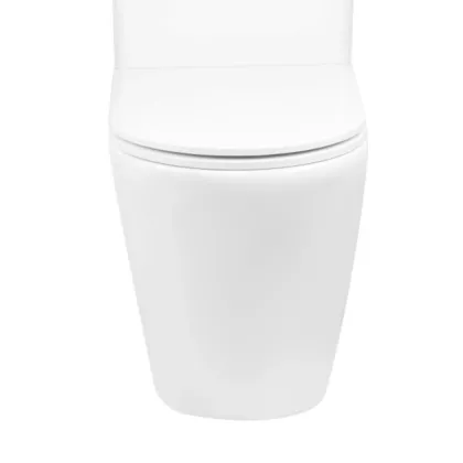 Чаша унітазу-компакту Mixxus Premium Ellipse-0402-R Bowl 660х390х855 Rimless без сидіння (MI8346) — Photo 1