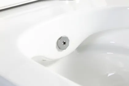 Унітаз-біде підвісний Mixxus Premium ELLIPSE-1301-R 500x365x350mm система змиву RIMLESS (MP6659) — Photo 3