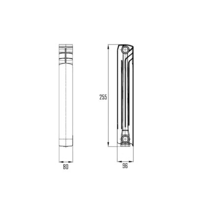 Радіатор біметалічний Thermo Alliance Bi-Ferrum 200/96 0,81 кг — Photo 1