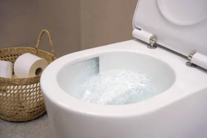 ELU PURA S унітаз підвісний 54*36,6см AquaHelix Flush, в комплекті з сидінням Slim з функцією SoftClose and QuickRelease — Photo 3