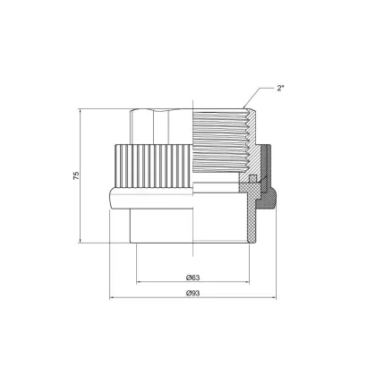 Муфта PPR Thermo Alliance 63х2" ВР — Photo 1