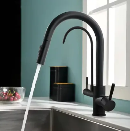 Змішувач для кухні REA ECO FRESH BLACK на дві води на дві води — Photo 3