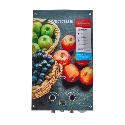 Газова колонка MIXXUS GWH-0310 BASIC GLASS димохідна 10 л/хв (панель зі скла з малюнком) (WH0024) — Photo 6