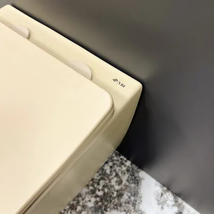 Підвісний унітаз VBI VULCANO BEIGE MATT — Photo 3