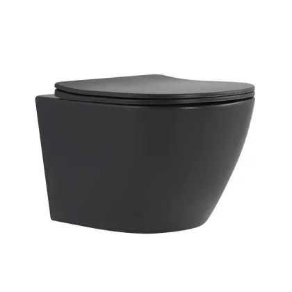 Унітаз підвісний Robin Ultra Quiet 490×365×325 мм, Anthracite, з сидінням Slim Duroplast / Soft-close / Quick Release QT13332381АSAN Qtap