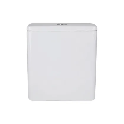 Бачок до унітазу-компакту Mixxus Premium Ellipse-0401-T1 Tank 630х390х840 зі зливною арматурою (MI8317)
