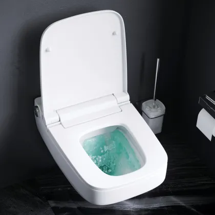 Унітаз підвісний безобідковий FlashClean, з кришкою-біде TouchReel AM.PM CCC50A1700SC Inspire 2.0 — Photo 2