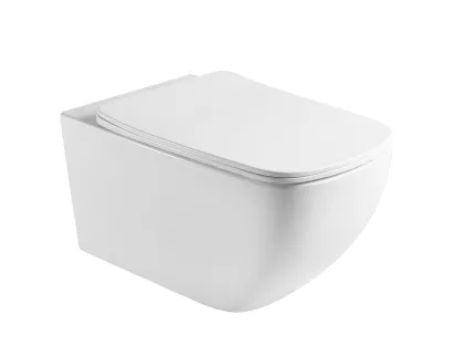 VALTICE унітаз підвісний (55,5*37,5*33,5 см, twist, сидіння duroplast)