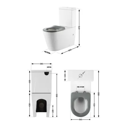 Унітаз підлоговий Qtap Freedom інклюзивний Rimless безобідковий з сидінням Soft-close WHITE QT22226098W — Photo 1