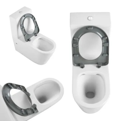 Унітаз підлоговий Qtap Freedom інклюзивний Rimless безобідковий з сидінням Soft-close WHITE QT22226098W — Photo 6