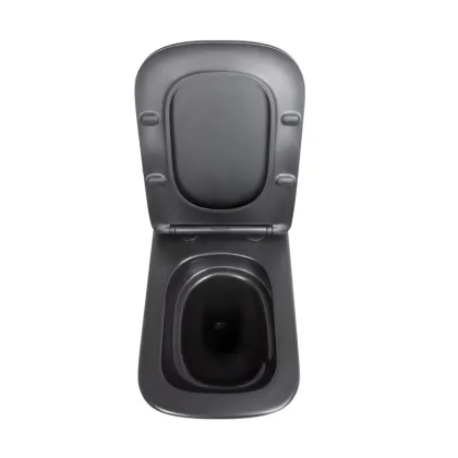 Унітаз підвісний Qtap Tern New Ultra Quiet безобідковий з сидінням Soft-close MATT BLACK QT17332303ASMB — Photo 5