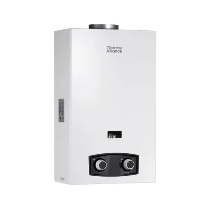 Колонка газова димохідна Thermo Alliance JSD20-10YD PIEZO 10 л — Photo 2