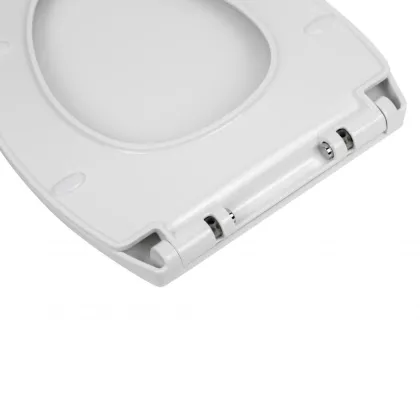 Унітаз підвісний Qtap Leo безобідковий з сидінням Soft-close QT11331002ERW — Photo 8