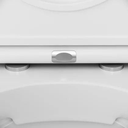 Підвісний унітаз FlashClean AM.PM C501700WH Inspire — Photo 8