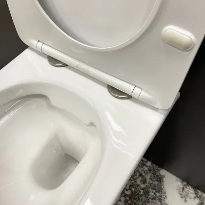 Підвісний унітаз VBI CAPRI WHITE — Photo 2