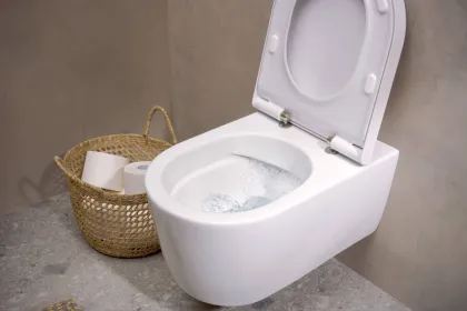 ELU PURA S унітаз підвісний 54*36,6см AquaFall Flush, в комплекте з сидінням з функцією SoftClose and QuickRelease — Photo 1