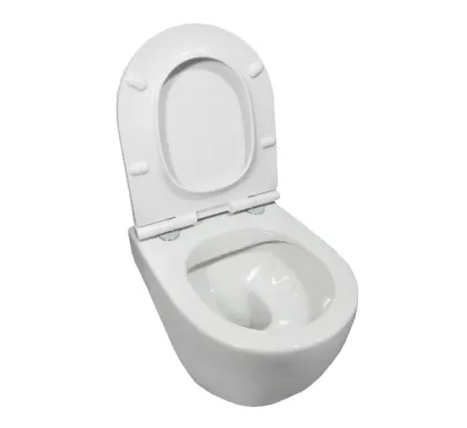 MERIDIAN Rimless унітаз підвісний CPT, в комплекті з сидінням Urea/Duroplast Slim, slow closing (48см) — Photo 4