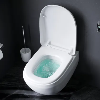 Підвісний унітаз FlashClean AM.PM C301700WH Sensation — Photo 2