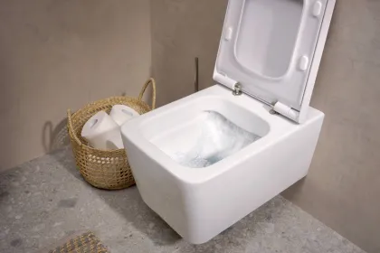 ELU PURA Q унітаз підвісний 54*36,6см AquaFall Flush, в комплекте з сидінням з функцією SoftClose and QuickRelease — Photo 1