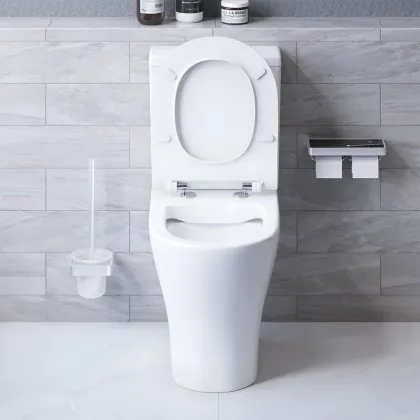 Унітаз-компакт безібодковый з сидінням мікроліфт Damixa DX86C8600SC Sirius — Photo 4