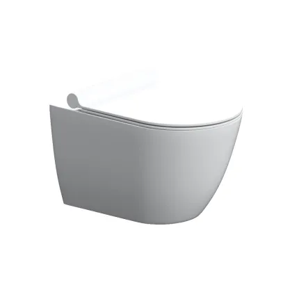 Унітаз підвісний безобідковий з сидінням Damixa DX36C1701SC Scandinavian Pure
