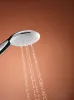 Набір для душу Grohe Tempesta 110 (27601003) — Photo 10