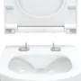 ALTEA Rimless унитаз подвесной (53*35,5*40см, в комплекте с сидением Duroplast Slim slow-closing) — Photo 12