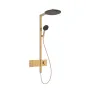 RAINDANCE ALIVE S душова система Showerpipe 300, 1jet, з термостатом, шліфованна бронза — Photo 4