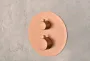 IMEX MONZA BRUSHED ROSE GOLD Набір для душу з термостатом, PVD матове рожеве золото — Photo 8
