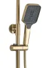 Душовий гарнітур REA HELIX BRUSHED GOLD матове золото з виливом — Photo 12