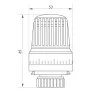 Термоголовка для радіатора M30x1.5 Koer KR.1330 (KR2676) — Photo 3