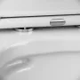 Підвісний унітаз FlashClean з сидінням мікроліфт AM.PM Gem — Photo 14