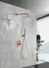 IMEX MONZA BRUSHED ROSE GOLD Набір для душу, PVD матове рожеве золото — Photo 7