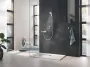 Душовий гарнітур зі штангою, 3 режими струменю Grohe Rainshower SmartActive (26578000) — Photo 20