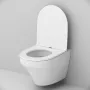 Підвісний унітаз FlashClean AM.PM C501700WH Inspire — Photo 13