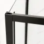 Душова кабіна без піддону Mixxus Premium DIVERSE SC03-100x80x195-TR Black прозоре скло 6мм (MI6866) — Photo 15